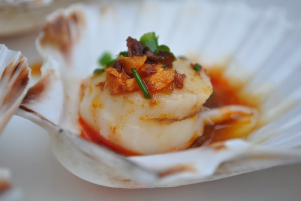 Scallop