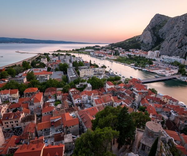 Omis