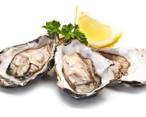 Oysters