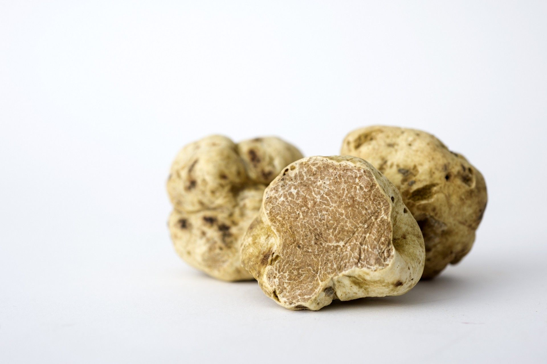 White truffle